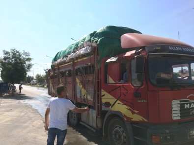 Sorgun'da Kurbanlık Hayvan Sevkiyatlarına Sıkı Denetim