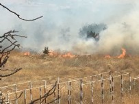 YANGıN YERI - Çanakkale'de korkutan yangın!
