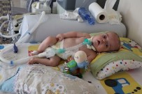 DEVLET MEMURU - 15 Aylık Umut Bebek Yardım Bekliyor