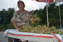 GURBETÇI - Fındık Üreticileri Yollarda Tezgah Açtı