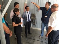 CENGIZ ERGÜN - Gıda Bankasında Hijyene Tam Not