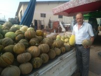 Hisarcık'ta Yerli Kavun Tezgaha İndi