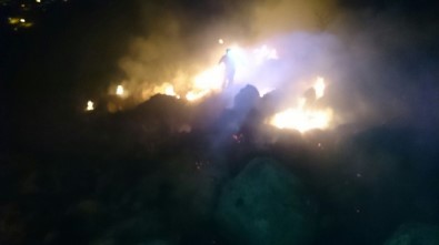 Malatya'da Orman Yangını