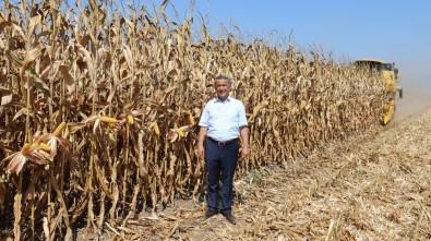 Sağlam Açıklaması 'Anız Yakmak Toprağımızın Geleceğini Yakmaktır'