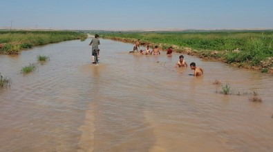 Şanlıurfa'da Çocuklar Asfaltta Yüzüyor