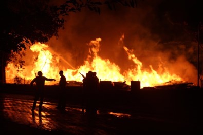 Bingöl'de Korkutan Yangın