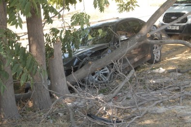 Elazığ'da İki Ayrı Trafik Kazası Açıklaması 11 Yaralı