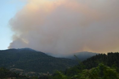 Gürcistan'daki Orman Yangınının Karabulutları Posof'u Sardı