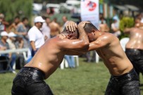 CANDAN YÜCEER - Yağlı Güreşlere İlgi Yoğun Oldu