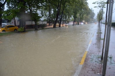 Zonguldak'ta Sağanak Yaşamı Felç Etti