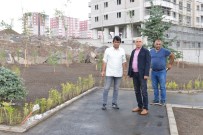 NÜFUS ORANI - Ali Korkut Açıklaması 'Erzurum'a Bozkır Değil, Yeşil Görüntüsü Yakışır'