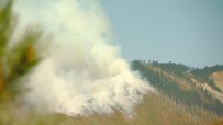 GÜRCİSTAN CUMHURBAŞKANI - Gürcistan'daki Yangın Devam Ediyor