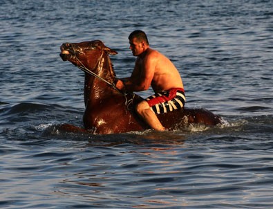 Atları Van Gölü'nde yarışlara hazırlıyorlar