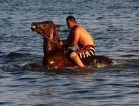 YARIŞ ATI - Atları Van Gölü'nde yarışlara hazırlıyorlar