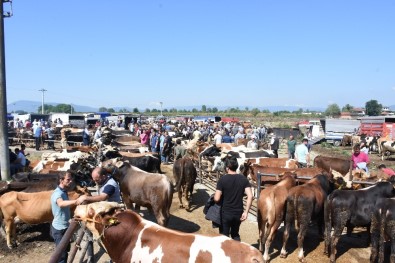 Kurban Kesim Ücretleri Belirlendi