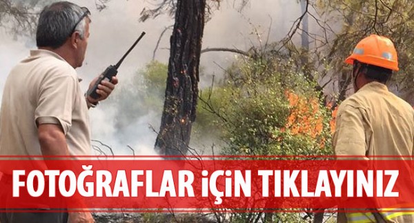 Fethiye'de orman yangını