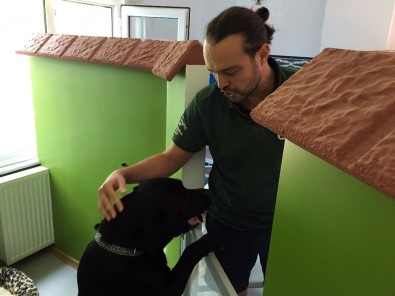 10 Günlük  Bayram Tatili Köpek Otellerine Olan Talebi Patlattı