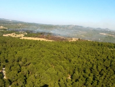 Çanakkale'de Orman Yangını Kontrol Altına Alındı