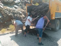 SAMANLıK - Gazeteciler Kazma Kürekle Yolları Düzeltti