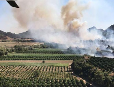 Antalya'da orman yangını yerleşim yerlerine sıçradı