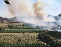 MUSTAFA TÜRK - Antalya'da orman yangını yerleşim yerlerine sıçradı