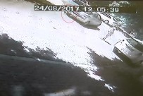 PSIKOLOJI - Kedisi Otomobilin Altında Kaldı, Çılgına Döndü