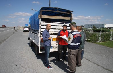 Kırklareli'de Kurbanlık Sevkiyatı Denetimleri