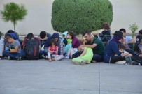 Muğla'da 62 Kaçak Göçmen Yakalandı