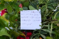 Semetli Mahallesi Atatürk Anıtı'na Kavuştu