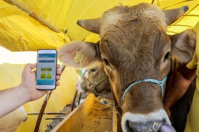 Sincan Belediyesi'nden Akıllı Telefonlara Kurban Uygulaması