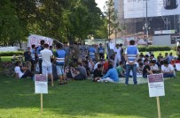 Viyana'da Afganistanlı Sığınmacılardan Oturma Eylemi