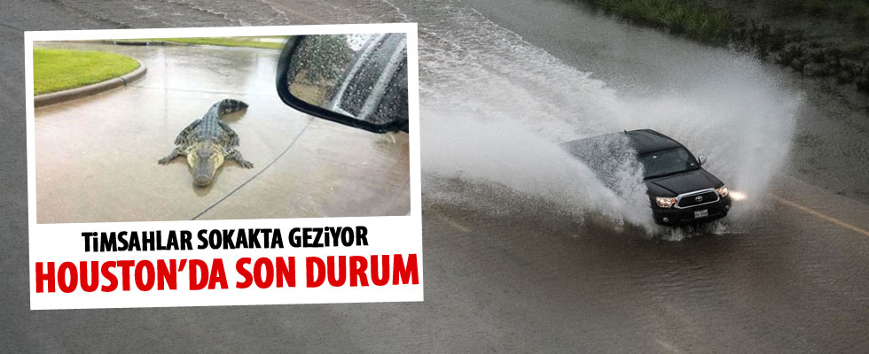 ABD'deki Harvey Kasırgası'nda en az 5 kişi öldü