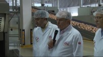 İSTANBUL HALK EKMEK - Halk Ekmek'te Robotlar Ekmekleri El Değmeden Kasalıyor