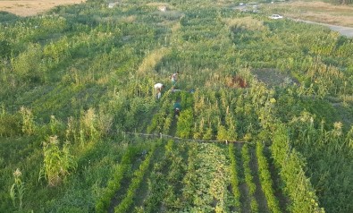 Kayseri Şeker'den Çalışanlarına Hobi Bahçesi