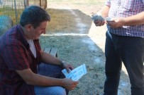 KURBANLIK HAYVAN - Kurban Satıcılarına Sahte Para Uyarısı