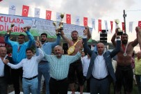 İSMAİL BALABAN - Tekkeköy Güreşlerinde Başpehlivan İsmail Balaban