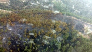 Amanoslar'daki Orman Yangını Kontrol Altında