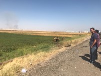 SİVİL ŞEHİT - Başkan Gülenç Patlama Alanında İncelemelerde Bulundu