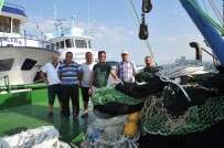 BALIK SEZONU - Dereköylü Balıkçıların Umudu İstavrit