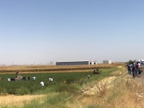 ZIRHLI ARAÇ - Diyarbakır'da Askeri Aracın Geçişinde Patlama Açıklaması Yaralılar Var