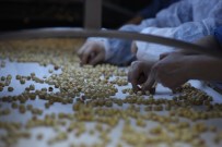 Karan'dan Fındığın Reyon Fiyatlarına Tepki