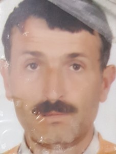 Kestiği Ağacın Altında Kalan Vatandaş Hayatını Kaybetti