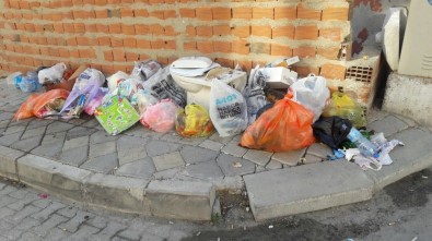 Milas'ta Çöp Ve Moloz Sorunu Sürüyor