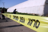 KADIN CİNAYETİ - Adana'da 7 Ayda 18 Kadın Öldürüldü