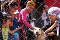HAYVAN SEVGİSİ - Çocuklara Bakımevinde Hayvan Sevgisi Aşılanıyor