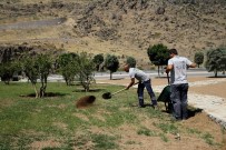 ZEYTİN AĞACI - Karşıyaka'da 30 Yıllık Zeytin Ağaçları Toprakla Buluştu