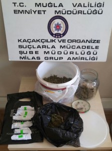 Milas'ta Torbacılara Operasyon Açıklaması 2 Gözaltı