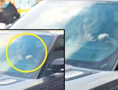 Özcan Deniz otobüstekilere kızdı: Çekmeyin!