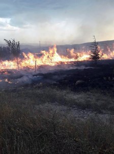 Sandıklı'da Orman Yangını