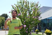 TEOMAN - Ünlü oyuncuya yumruklu saldırı